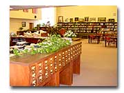 MCHS and City Library